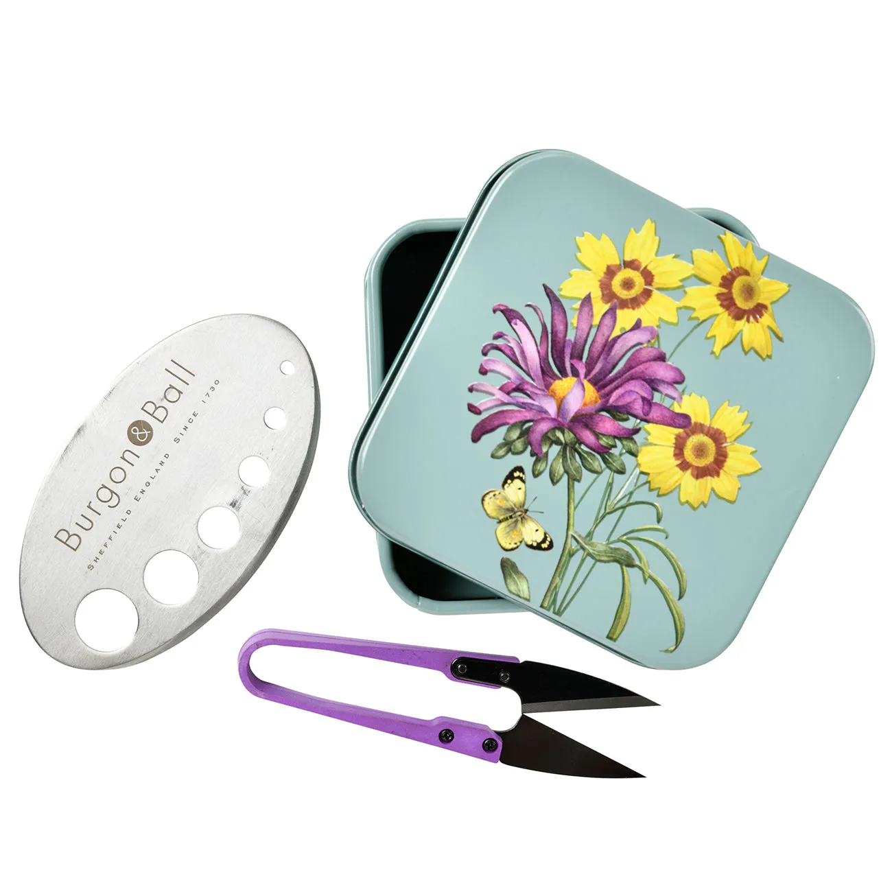 Asteraceae Herb Set