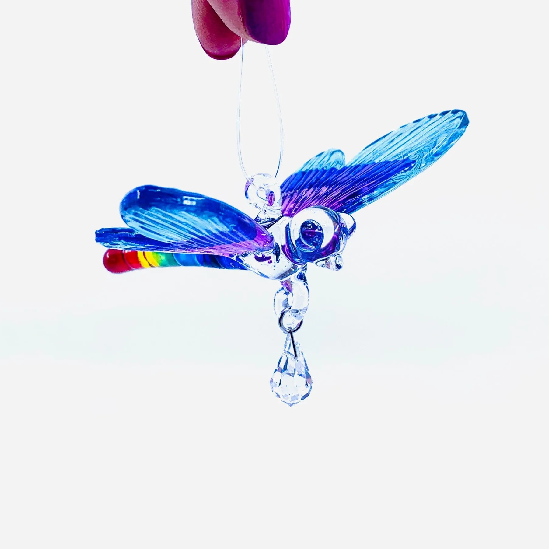 Dazzle Glass Dragonfly Rainbow 3