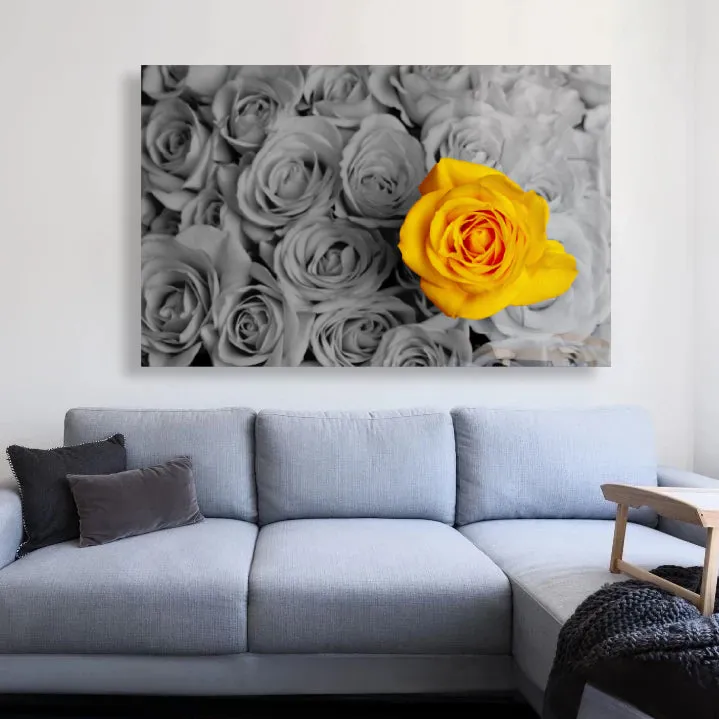 Yellow Rose